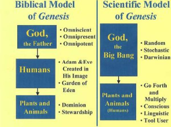 Genesis Models