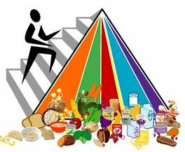 2005 Food Pyramid