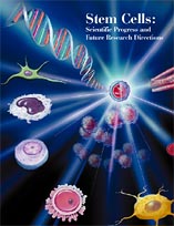 NIH Stem Cell Cover