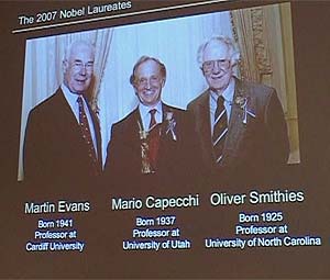 Nobel Prize in Medicine, 2007