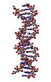 Spinning
DNA
